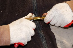 Winter grafting service