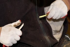 Winter grafting service
