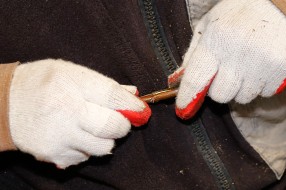 Winter grafting service