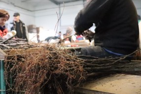 Winter grafting service