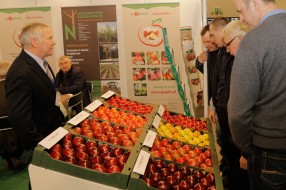 AJAPPLE na MTAS / FruitPro 2017