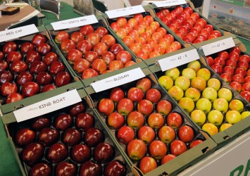 MTAS / FRUITPRO 2017