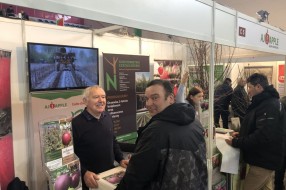 AJAPPLE - Spotkanie Sadownicze Sandomierz 2019
