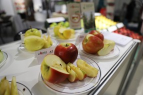 AJAPPLE na TSW 2020