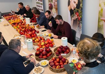 Ocena odmian AJAPPLE - 15 grudnia 2021