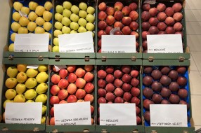 AJAPPLE na TSW 2022