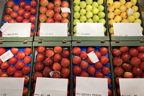 AJAPPLE na TSW 2022