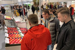 AJAPPLE na TSW 2022
