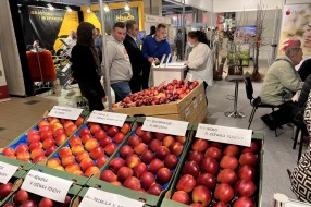 AJAPPLE na TSW 2022