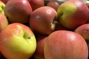 AJAPPLE na TSW 2022