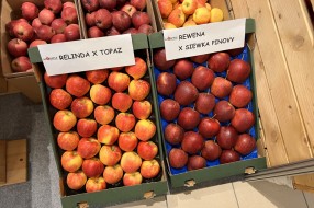 AJAPPLE na TSW 2022