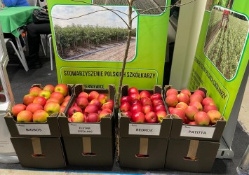 The Interpoma Variety Garden - AJAPPLE