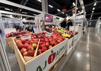 TSW 2023 w Kielcach - AJAPPLE