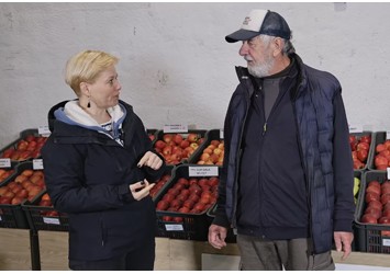 Materiał szk&oacute;łkarski do nowego sadu. Odmiany, jakość i ceny drzewek
