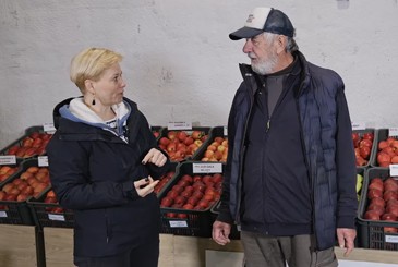 Materiał szkółkarski do nowego sadu. Odmiany, jakość i ceny drzewek